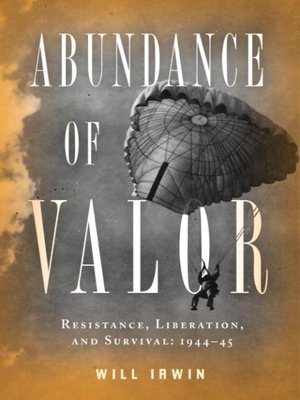 Abundance of Valor - ebook